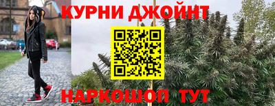 индика Ленинск-Кузнецкий