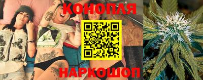 индика Ленинск-Кузнецкий