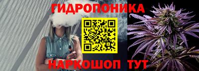 индика Ленинск-Кузнецкий