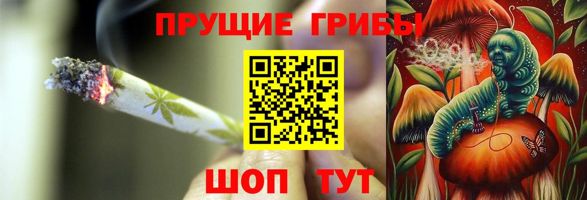 Псилоцибиновые грибы Magic Shrooms Горно-Алтайск