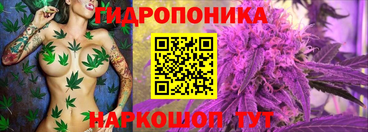 Горно-Алтайск  Конопля конопля  Канабис Ganja  Бошки марихуана гибрид  Конопля VHQ  Вход с VPN 
